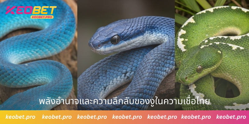 ความหมายของคำทำนายและตัวเลขเมื่อฝันเห็นงูหลายตัว พลังอำนาจและความลึกลับของงูในความเชื่อไทย