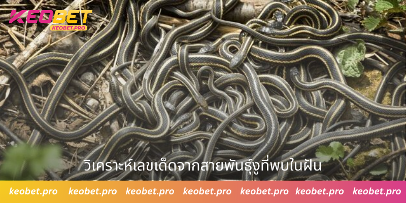 ความหมายของคำทำนายและตัวเลขเมื่อฝันเห็นงูหลายตัว วิเคราะห์เลขเด็ดจากสายพันธุ์งูที่พบในฝัน
