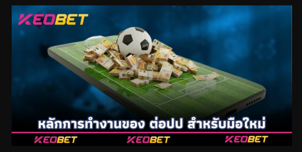 ต่อปป Keobet วิธีเดิมพันกำไรสูง เล่นง่าย เสียน้อย หลักการทำงานของ ต่อปป สำหรับมือใหม่