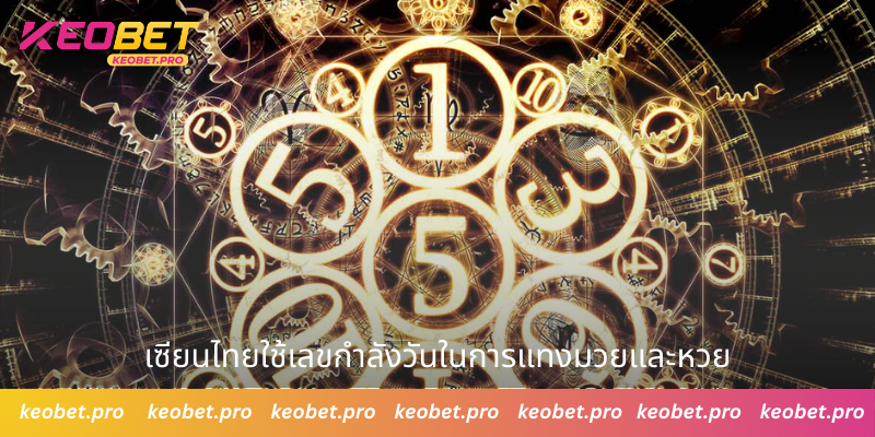 เซียนไทยใช้เลขกําลังวันในการแทงมวยและหวย